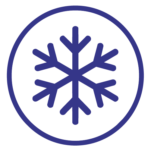 freeze